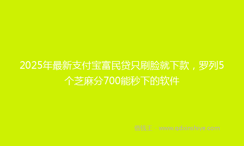 2025年最新支付宝富民贷只刷脸就下款，罗列5个芝麻分700能秒下的软件