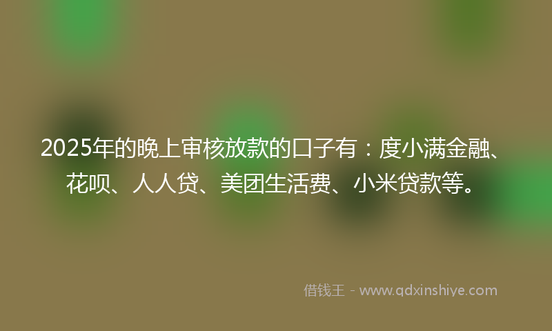 2025年的晚上审核放款的口子有：度小满金融、花呗、人人贷、美团生活费、小米贷款等。