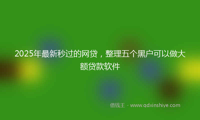 2025年最新秒过的网贷，整理五个黑户可以做大额贷款软件