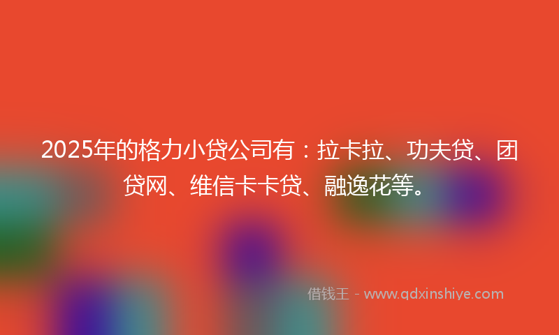 2025年的格力小贷公司有：拉卡拉、功夫贷、团贷网、维信卡卡贷、融逸花等。