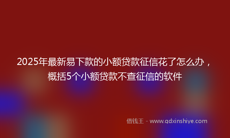 2025年最新易下款的小额贷款征信花了怎么办，概括5个小额贷款不查征信的软件