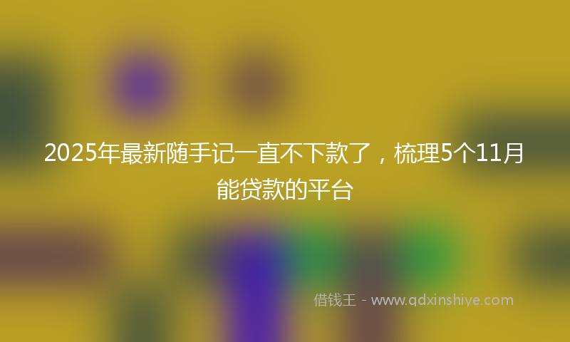 2025年最新随手记一直不下款了，梳理5个11月能贷款的平台