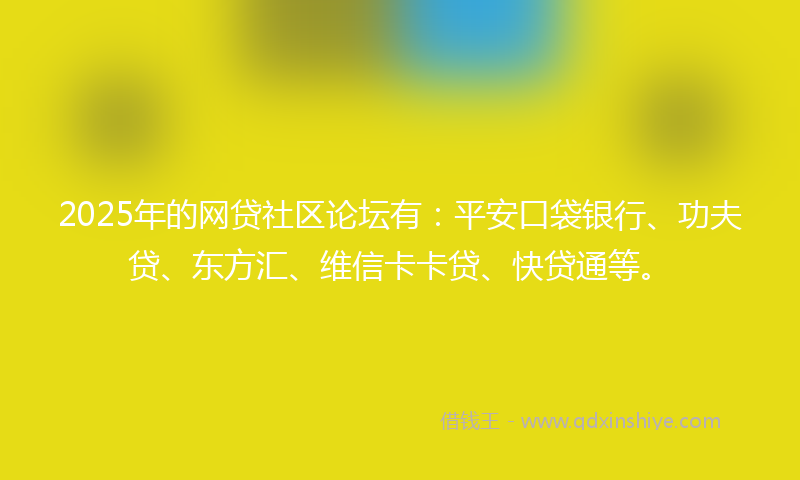 2025年的网贷社区论坛有：平安口袋银行、功夫贷、东方汇、维信卡卡贷、快贷通等。