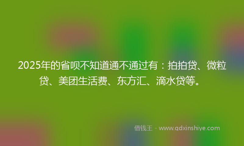 2025年的省呗不知道通不通过有：拍拍贷、微粒贷、美团生活费、东方汇、滴水贷等。