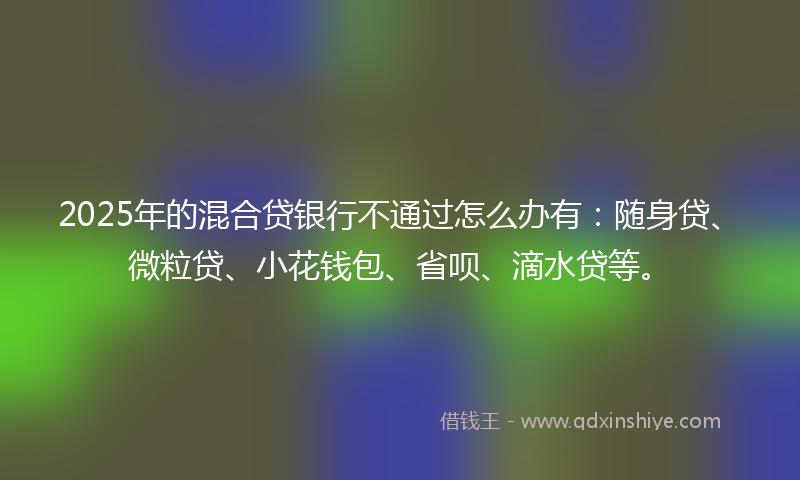 2025年的混合贷银行不通过怎么办有：随身贷、微粒贷、小花钱包、省呗、滴水贷等。
