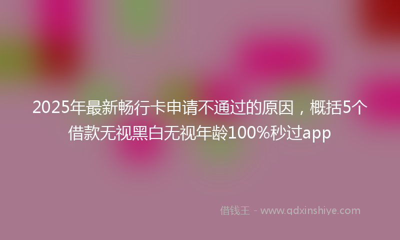2025年最新畅行卡申请不通过的原因，概括5个借款无视黑白无视年龄100%秒过app