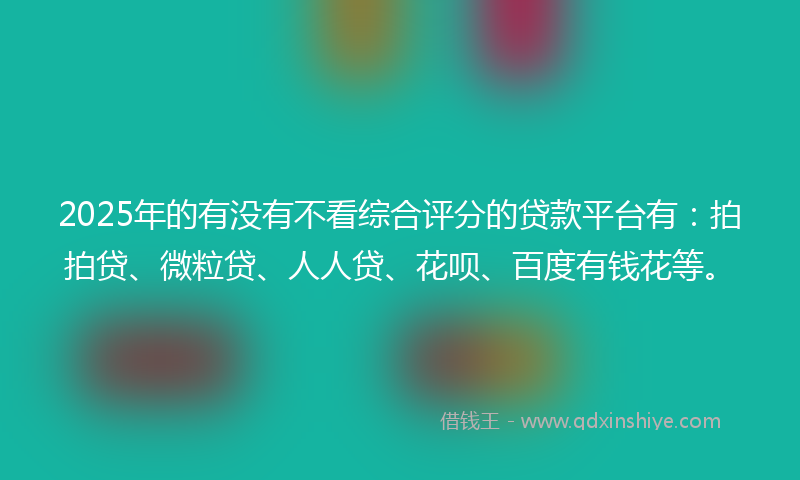 2025年的有没有不看综合评分的贷款平台有：拍拍贷、微粒贷、人人贷、花呗、百度有钱花等。