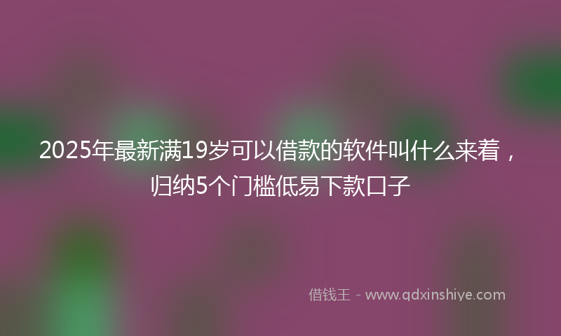 2025年最新满19岁可以借款的软件叫什么来着，归纳5个门槛低易下款口子