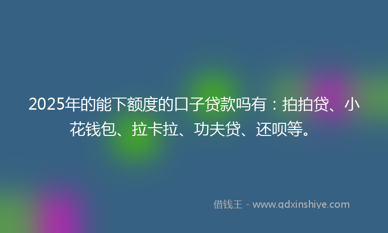 2025年的能下额度的口子贷款吗有：拍拍贷、小花钱包、拉卡拉、功夫贷、还呗等。