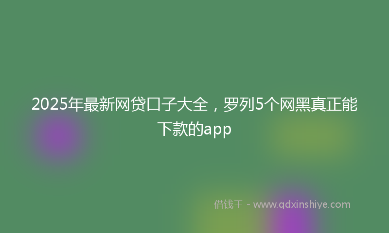2025年最新网贷口子大全，罗列5个网黑真正能下款的app