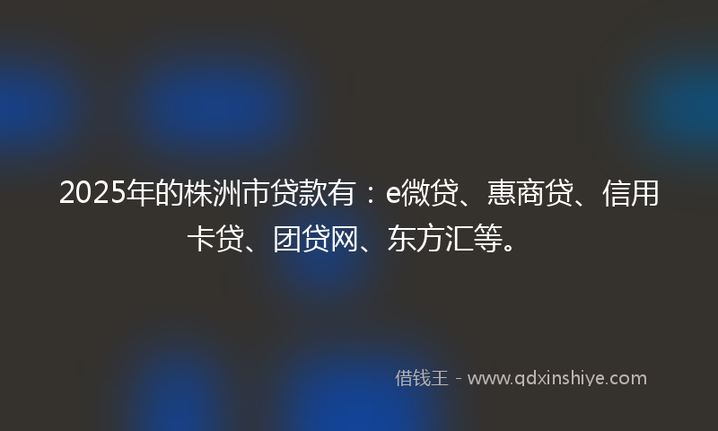 2025年的株洲市贷款有：e微贷、惠商贷、信用卡贷、团贷网、东方汇等。