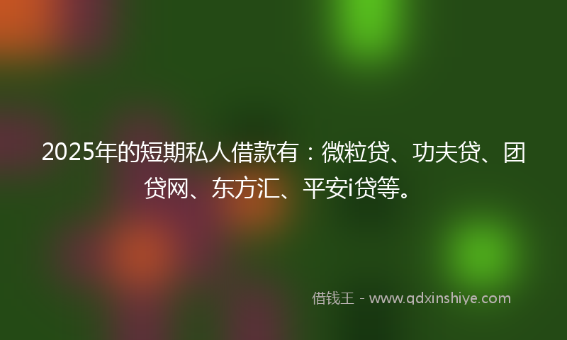 2025年的短期私人借款有：微粒贷、功夫贷、团贷网、东方汇、平安i贷等。