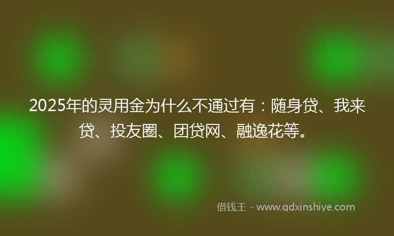 2025年的灵用金为什么不通过有：随身贷、我来贷、投友圈、团贷网、融逸花等。