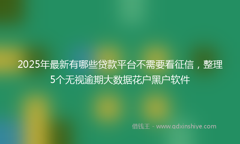 2025年最新有哪些贷款平台不需要看征信，整理5个无视逾期大数据花户黑户软件