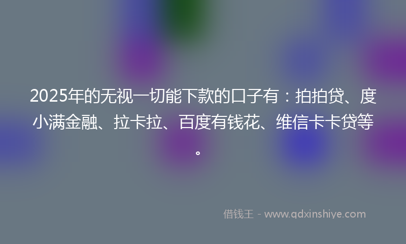 2025年的无视一切能下款的口子有：拍拍贷、度小满金融、拉卡拉、百度有钱花、维信卡卡贷等。