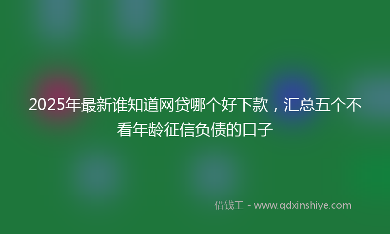 2025年最新谁知道网贷哪个好下款，汇总五个不看年龄征信负债的口子