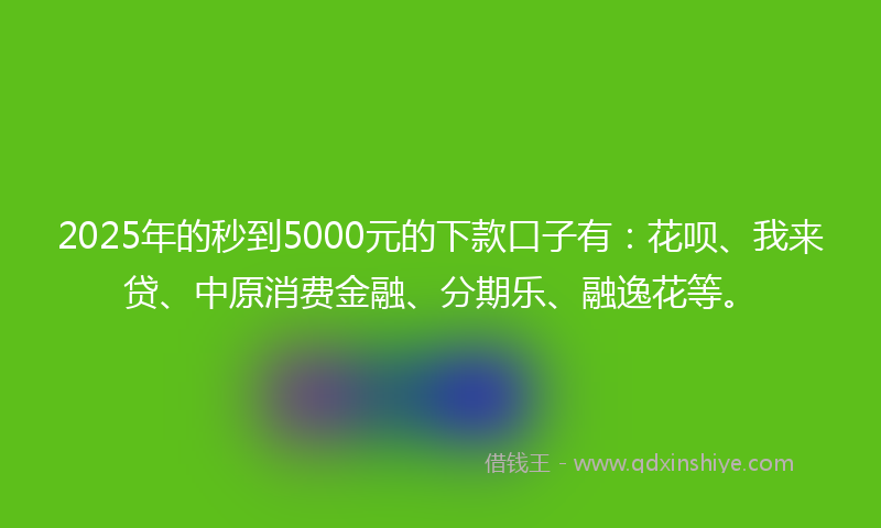 2025年的秒到5000元的下款口子有：花呗、我来贷、中原消费金融、分期乐、融逸花等。
