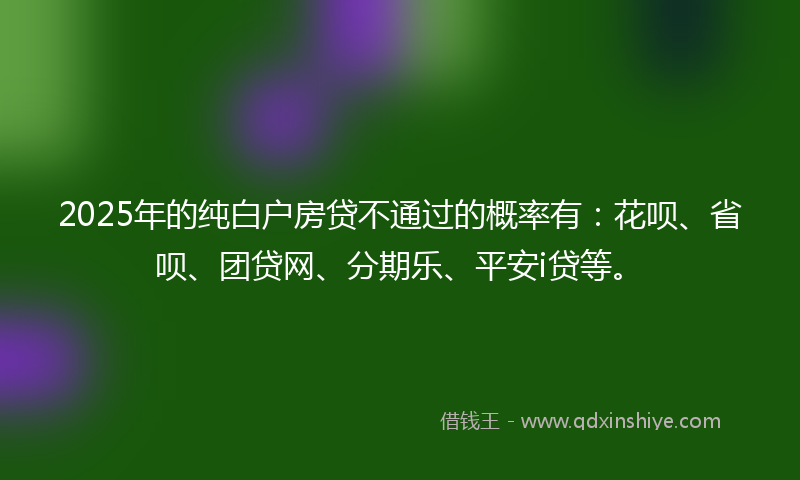 2025年的纯白户房贷不通过的概率有：花呗、省呗、团贷网、分期乐、平安i贷等。