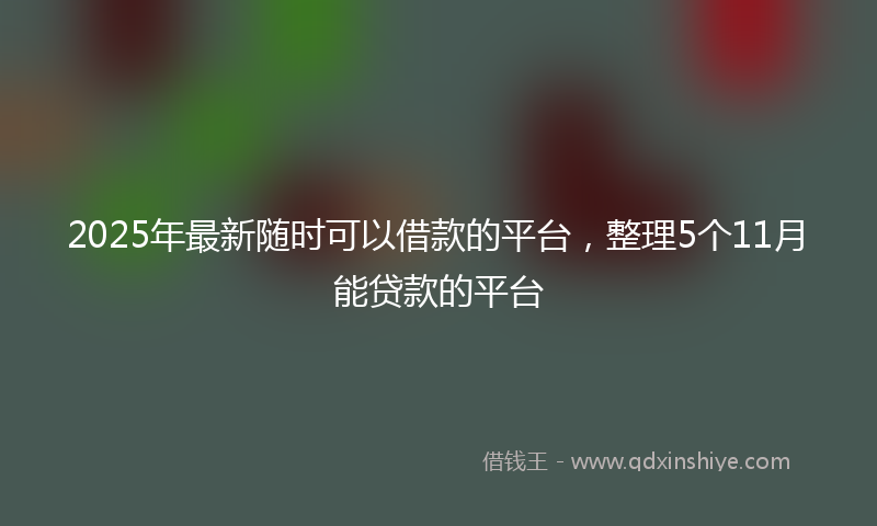 2025年最新随时可以借款的平台，整理5个11月能贷款的平台