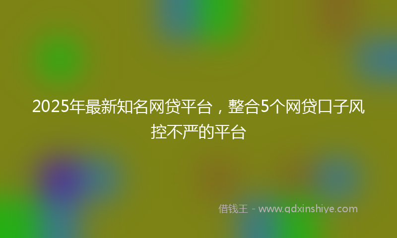 2025年最新知名网贷平台，整合5个网贷口子风控不严的平台