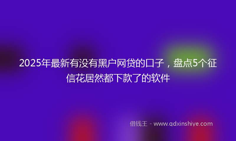 2025年最新有没有黑户网贷的口子，盘点5个征信花居然都下款了的软件