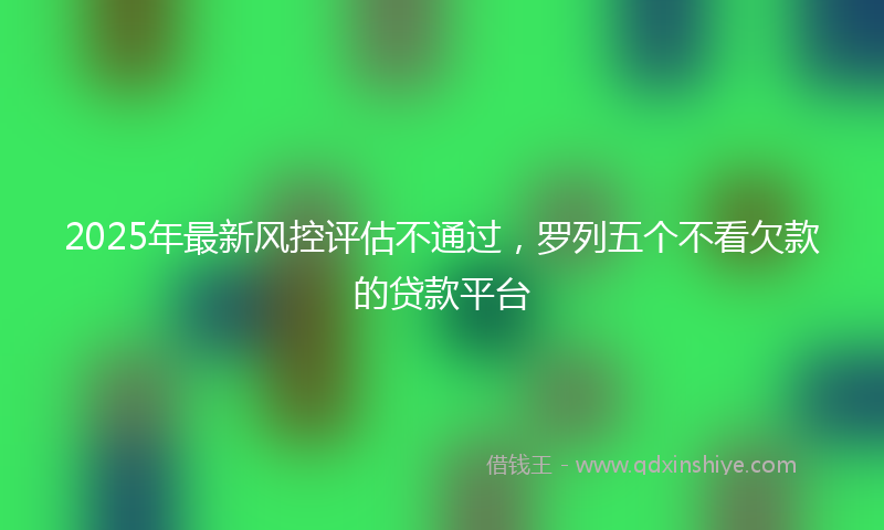 2025年最新风控评估不通过，罗列五个不看欠款的贷款平台