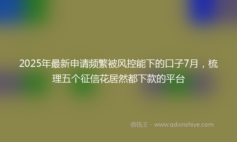 2025年最新申请频繁被风控能下的口子7月，梳理五个征信花居然都下款的平台
