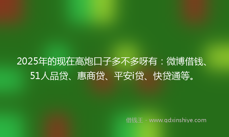 2025年的现在高炮口子多不多呀有：微博借钱、51人品贷、惠商贷、平安i贷、快贷通等。