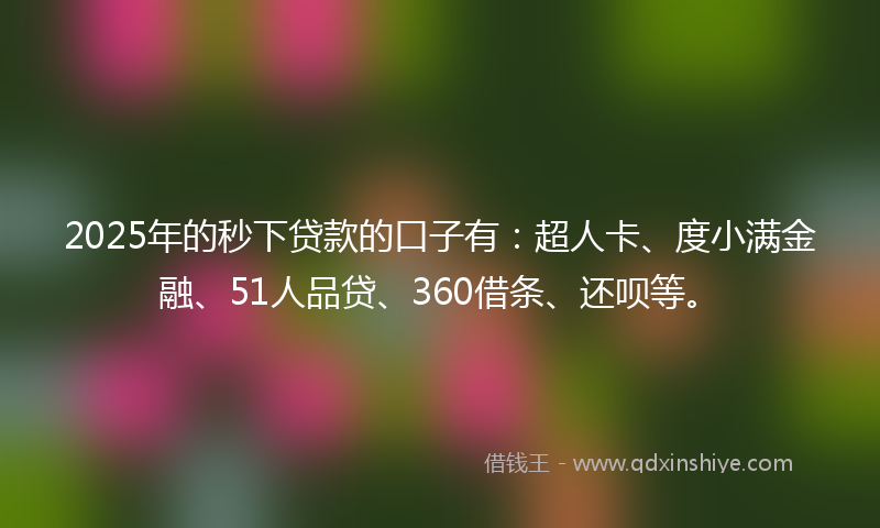2025年的秒下贷款的口子有：超人卡、度小满金融、51人品贷、360借条、还呗等。
