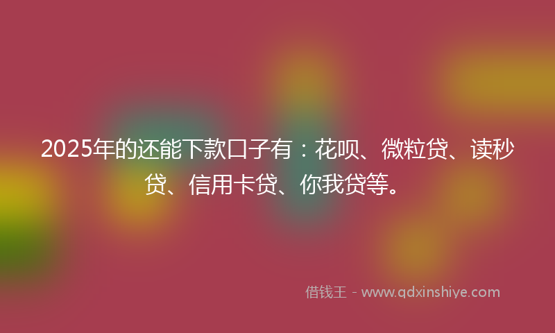 2025年的还能下款口子有：花呗、微粒贷、读秒贷、信用卡贷、你我贷等。