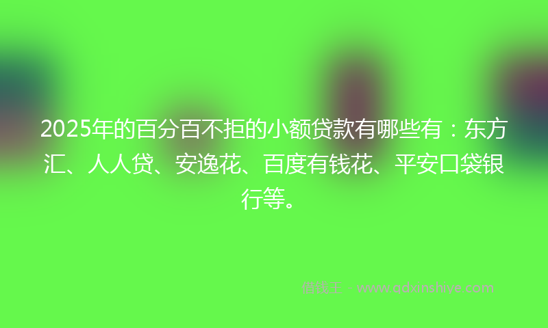 2025年的百分百不拒的小额贷款有哪些有：东方汇、人人贷、安逸花、百度有钱花、平安口袋银行等。