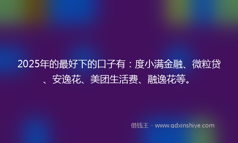 2025年的最好下的口子有：度小满金融、微粒贷、安逸花、美团生活费、融逸花等。