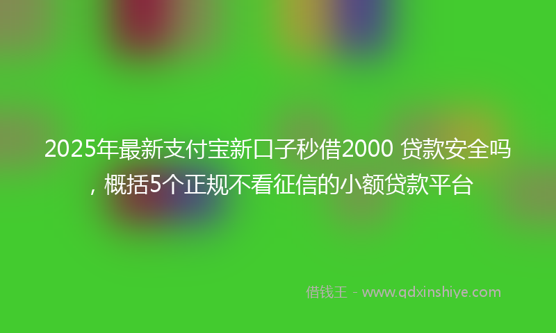2025年最新支付宝新口子秒借2000 贷款安全吗，概括5个正规不看征信的小额贷款平台