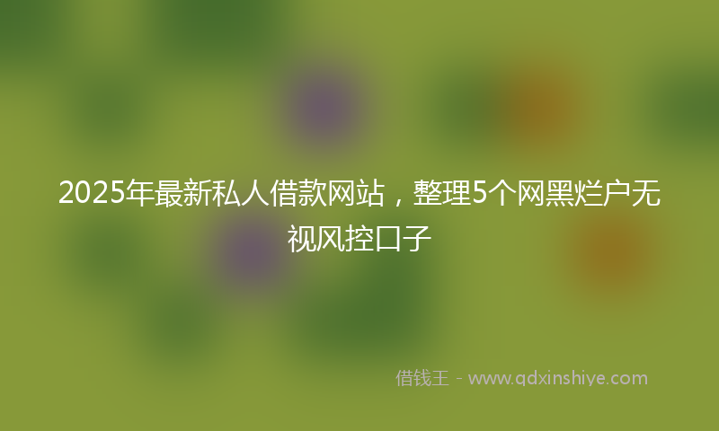 2025年最新私人借款网站，整理5个网黑烂户无视风控口子