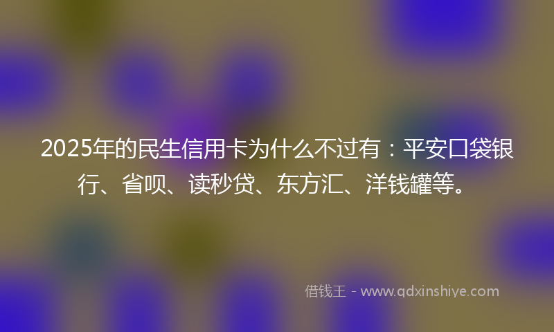 2025年的民生信用卡为什么不过有：平安口袋银行、省呗、读秒贷、东方汇、洋钱罐等。