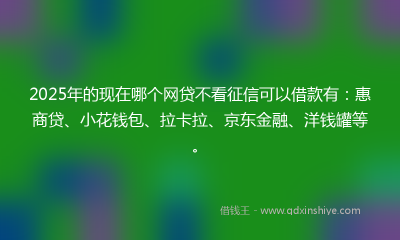 2025年的现在哪个网贷不看征信可以借款有：惠商贷、小花钱包、拉卡拉、京东金融、洋钱罐等。