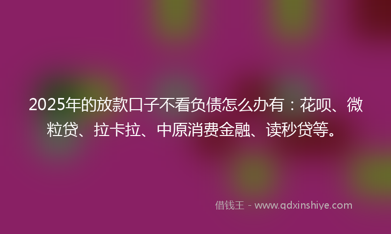 2025年的放款口子不看负债怎么办有：花呗、微粒贷、拉卡拉、中原消费金融、读秒贷等。