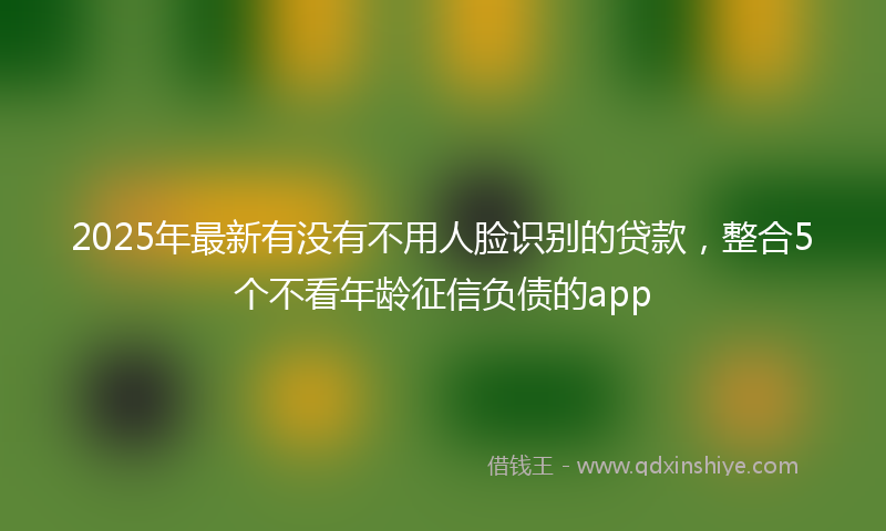 2025年最新有没有不用人脸识别的贷款，整合5个不看年龄征信负债的app