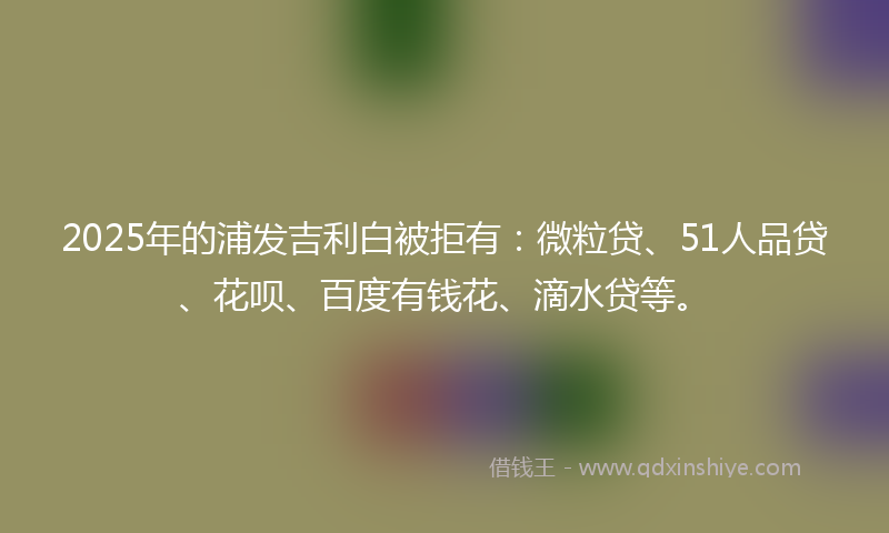 2025年的浦发吉利白被拒有：微粒贷、51人品贷、花呗、百度有钱花、滴水贷等。