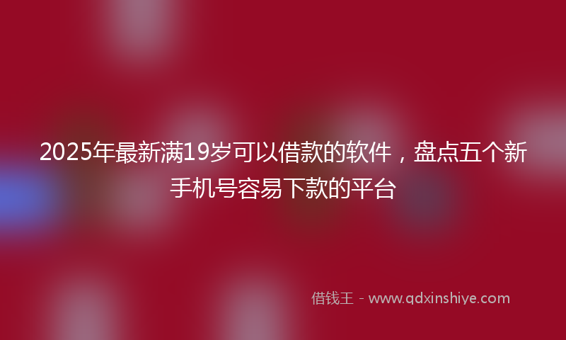 2025年最新满19岁可以借款的软件，盘点五个新手机号容易下款的平台