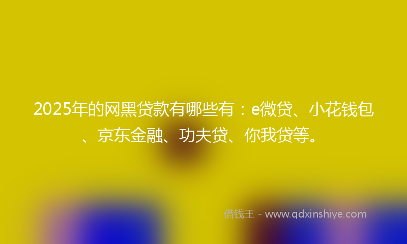 2025年的网黑贷款有哪些有:e微贷、小花钱包、京东金融、功夫贷、你我贷等。