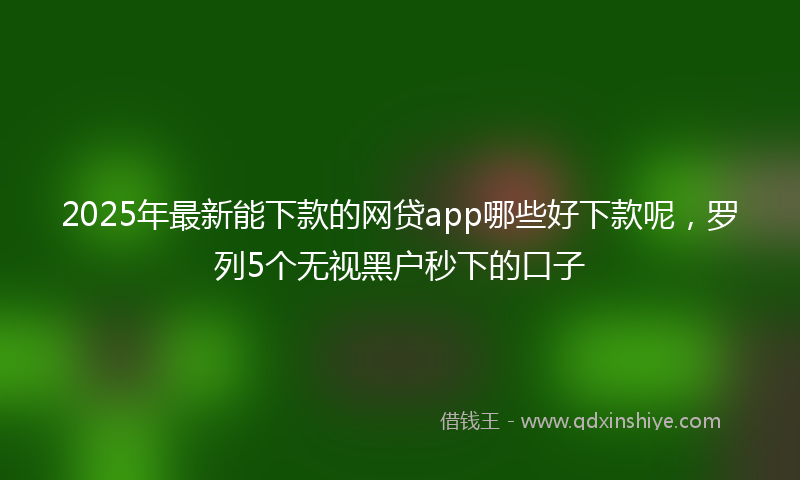 2025年最新能下款的网贷app哪些好下款呢，罗列5个无视黑户秒下的口子