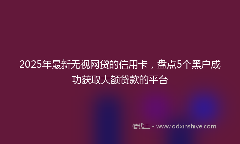 2025年最新无视网贷的信用卡，盘点5个黑户成功获取大额贷款的平台