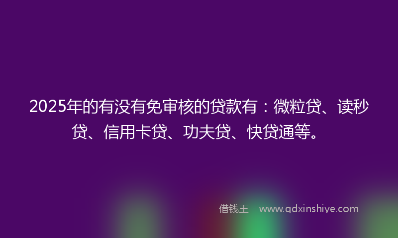 2025年的有没有免审核的贷款有：微粒贷、读秒贷、信用卡贷、功夫贷、快贷通等。