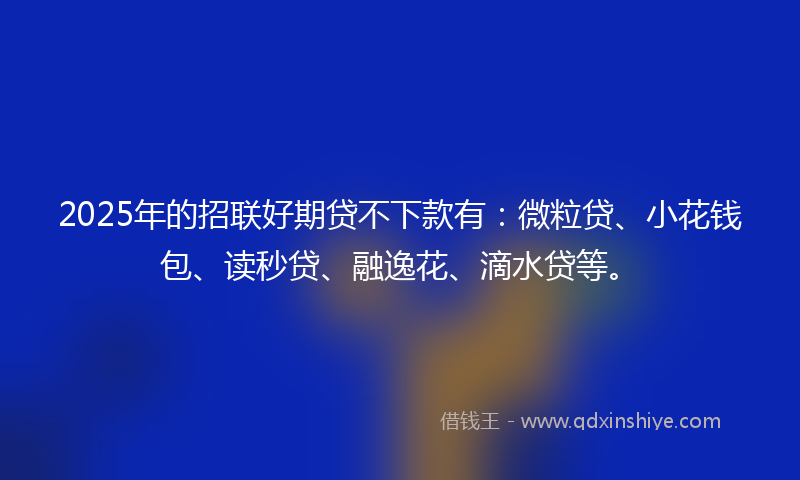 2025年的招联好期贷不下款有：微粒贷、小花钱包、读秒贷、融逸花、滴水贷等。
