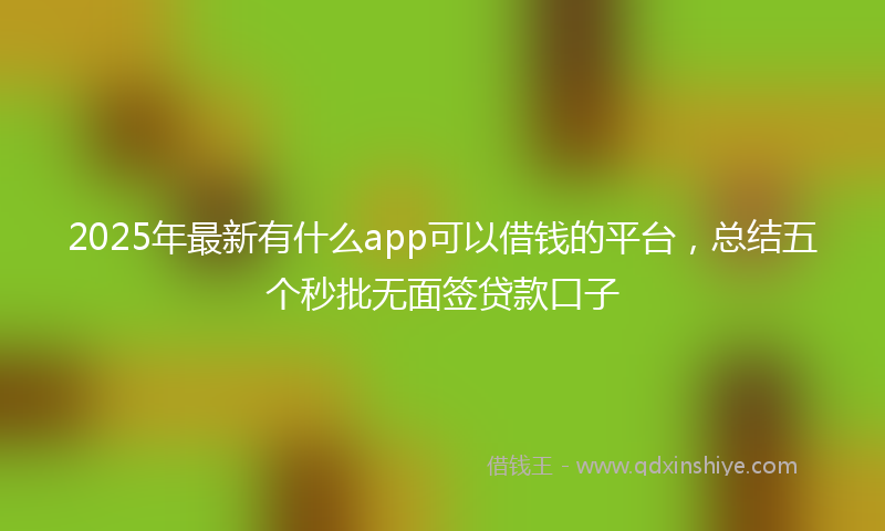 2025年最新有什么app可以借钱的平台，总结五个秒批无面签贷款口子