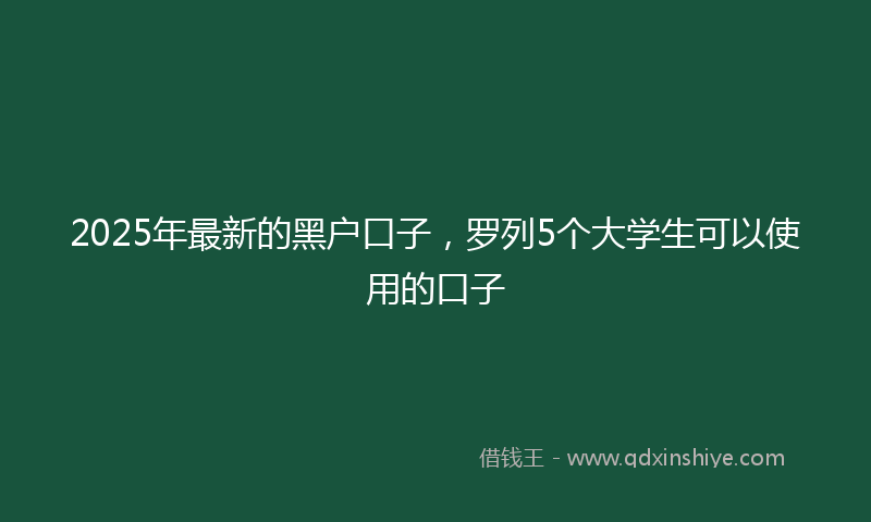 2025年最新的黑户口子，罗列5个大学生可以使用的口子