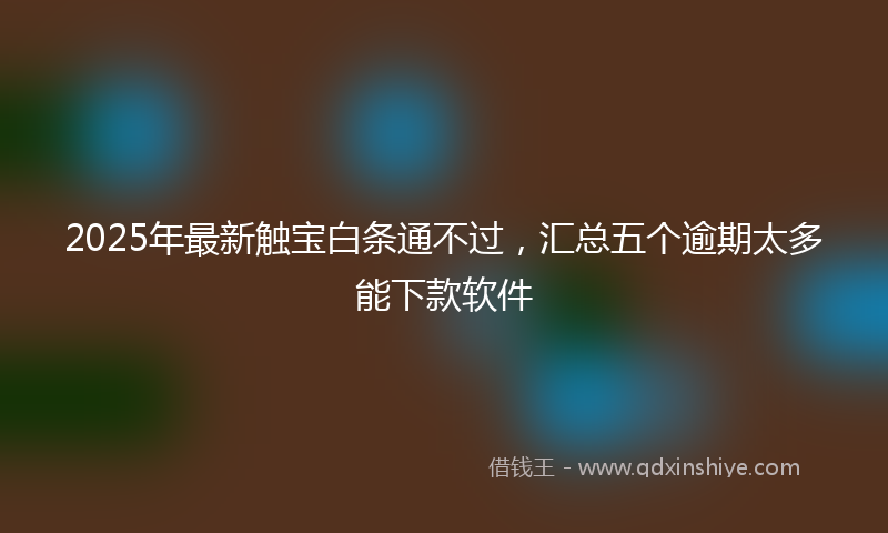 2025年最新触宝白条通不过，汇总五个逾期太多能下款软件