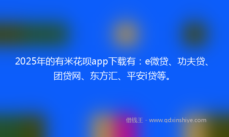 2025年的有米花呗app下载有：e微贷、功夫贷、团贷网、东方汇、平安i贷等。