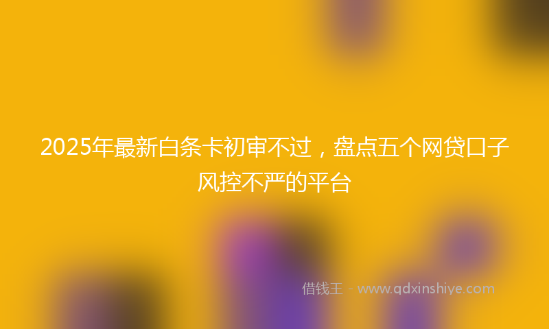 2025年最新白条卡初审不过，盘点五个网贷口子风控不严的平台